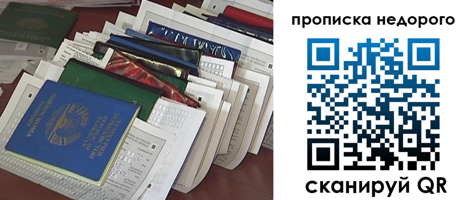 прописка гарантия в Московской области