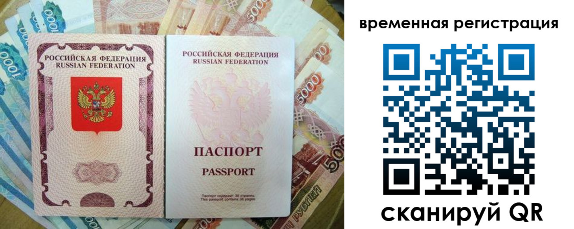 прописка для школы в Московской области